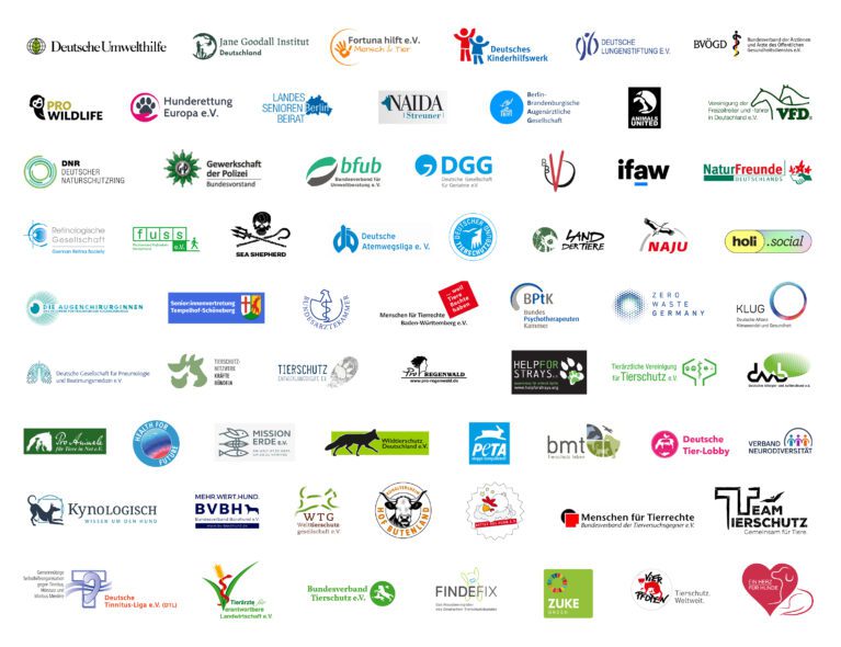 Über 66 Organisationen, darunter Ärzte-, Tierschutz- und Umweltverbände, unterstützen die Petition für ein Böllerverbot.