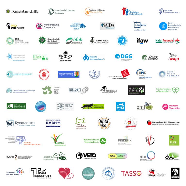 Über 71 Organisationen, darunter Ärzte-, Tierschutz- und Umweltverbände, unterstützen die Petition für ein Böllerverbot.