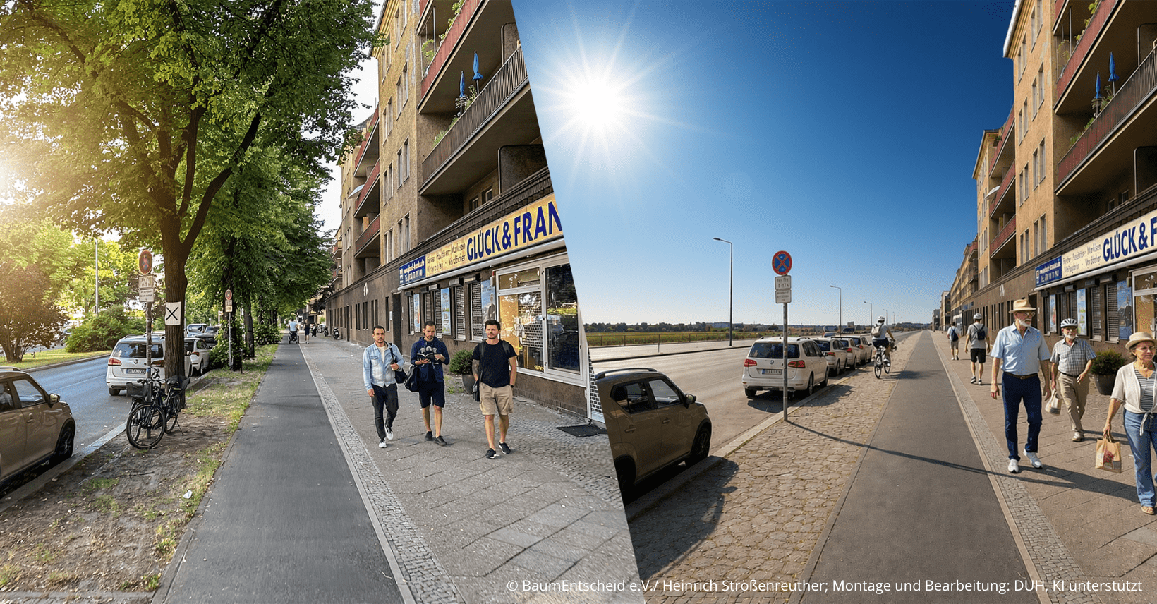 Bäume retten Leben: Petition für mehr Stadtgrün und Hitzeschutz